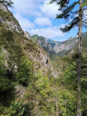 Výlet do Ötscherského kaňonu v Rakousku